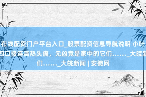 在线配资门户平台入口_股票配资信息导航说明 小叶医探 | 一家四口接连高热头痛，元凶竟是家中的它们……_大皖新闻 | 安徽网