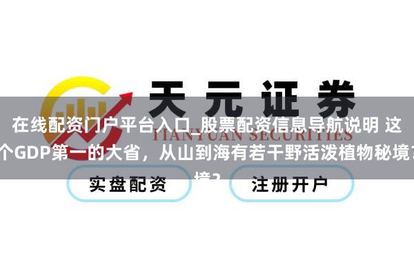 在线配资门户平台入口_股票配资信息导航说明 这个GDP第一的大省，从山到海有若干野活泼植物秘境？